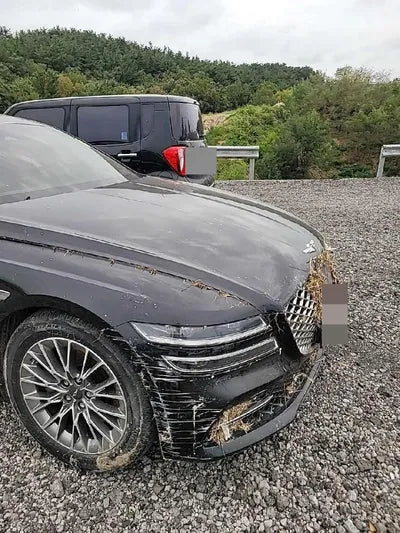 2020 Genesis G80 VIN: