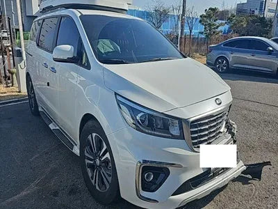 2019 Kia Carnival KNAMB81ABKS495148 VIN:KNAMB81ABKS495148