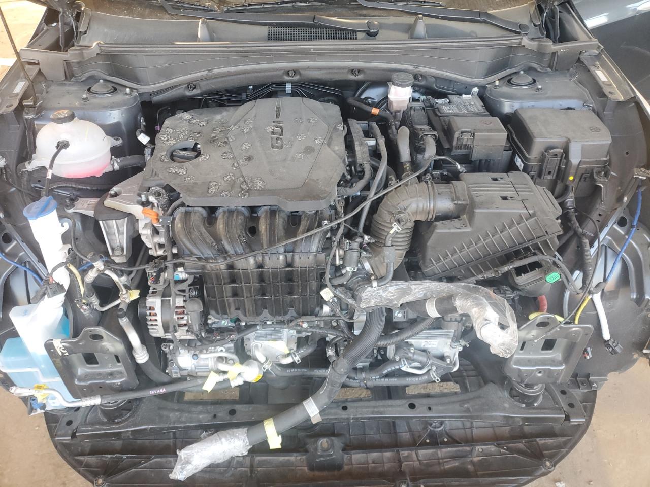 2023 KIA SPORTAGE EX VIN:5XYK33AF0PG113083