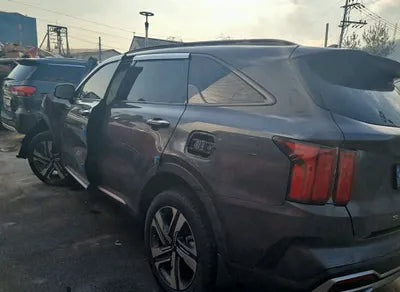 2022 Kia Sorento KNARJ81GBNA065251 VIN:KNARJ81GBNA065251