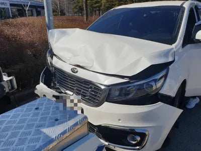 2016 Kia Carnival KNAMB81ABGS214253 VIN:KNAMB81ABGS214253