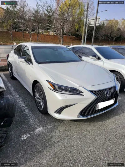 2022 Lexus ES 300 JTHBA1C10N2009517 VIN:JTHBA1C10N2009517
