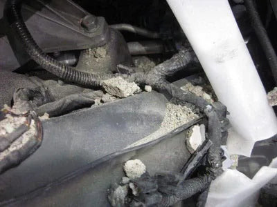 2020 Hyundai Santa FE KMHS381HGMU333983 VIN:KMHS381HGMU333983