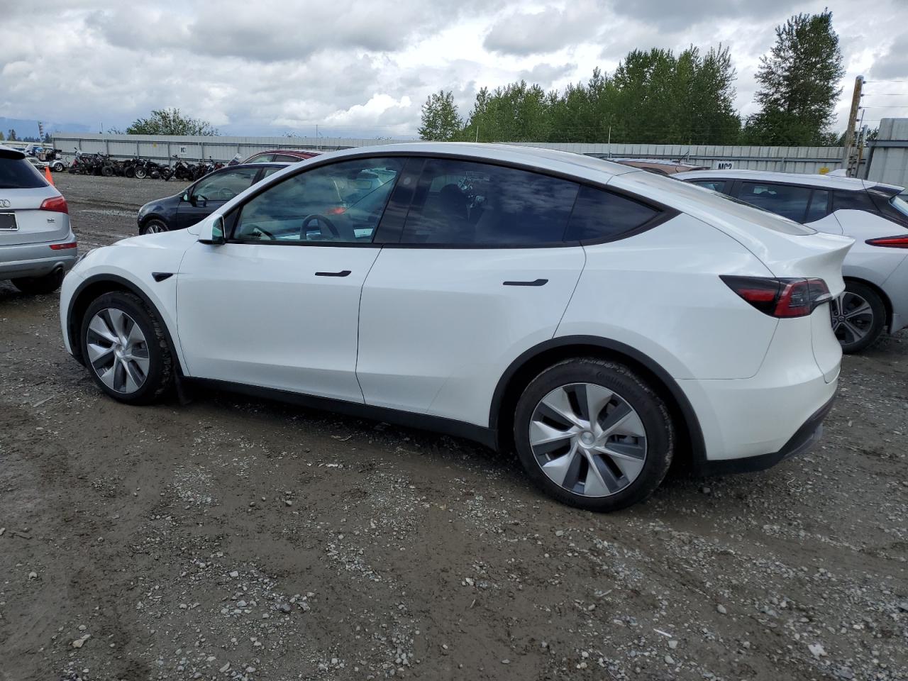 2023 TESLA MODEL Y  VIN:7SAYGAEE2PF827005