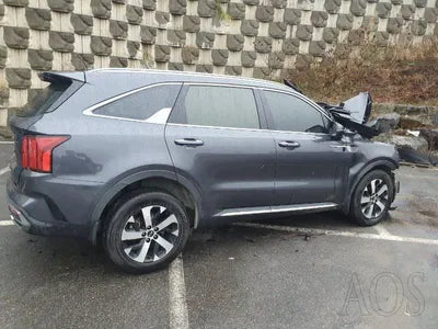 2021 Kia Sorento KNARL81BGMA097542 VIN:KNARL81BGMA097542