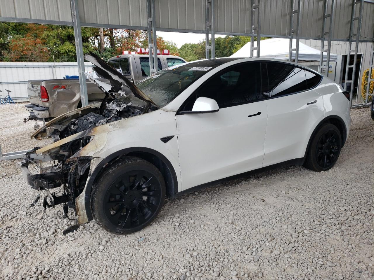 2023 TESLA MODEL Y  VIN:7SAYGDEE8PA074871