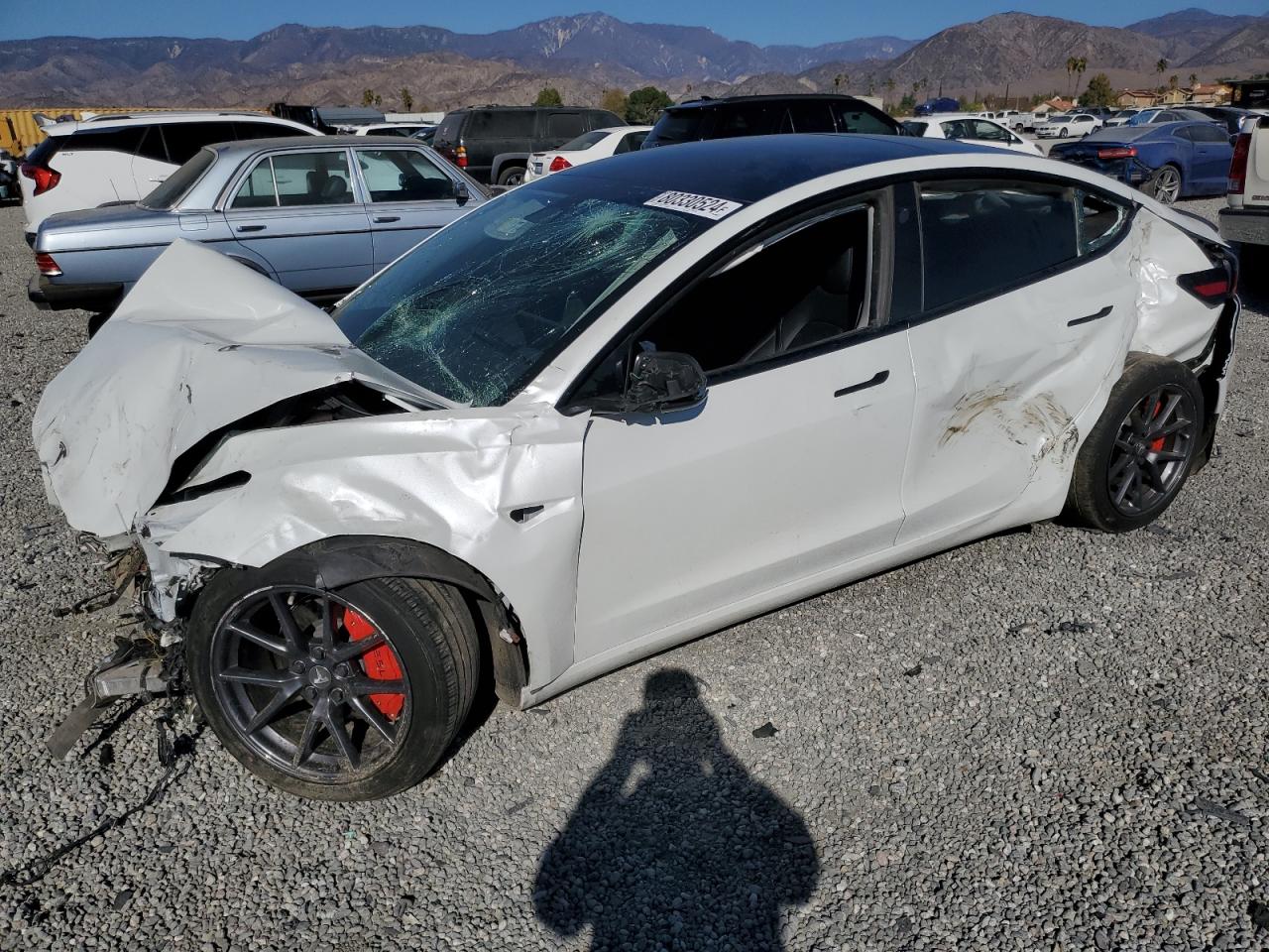 2023 TESLA MODEL 3  VIN:5YJ3E1EA9PF506055