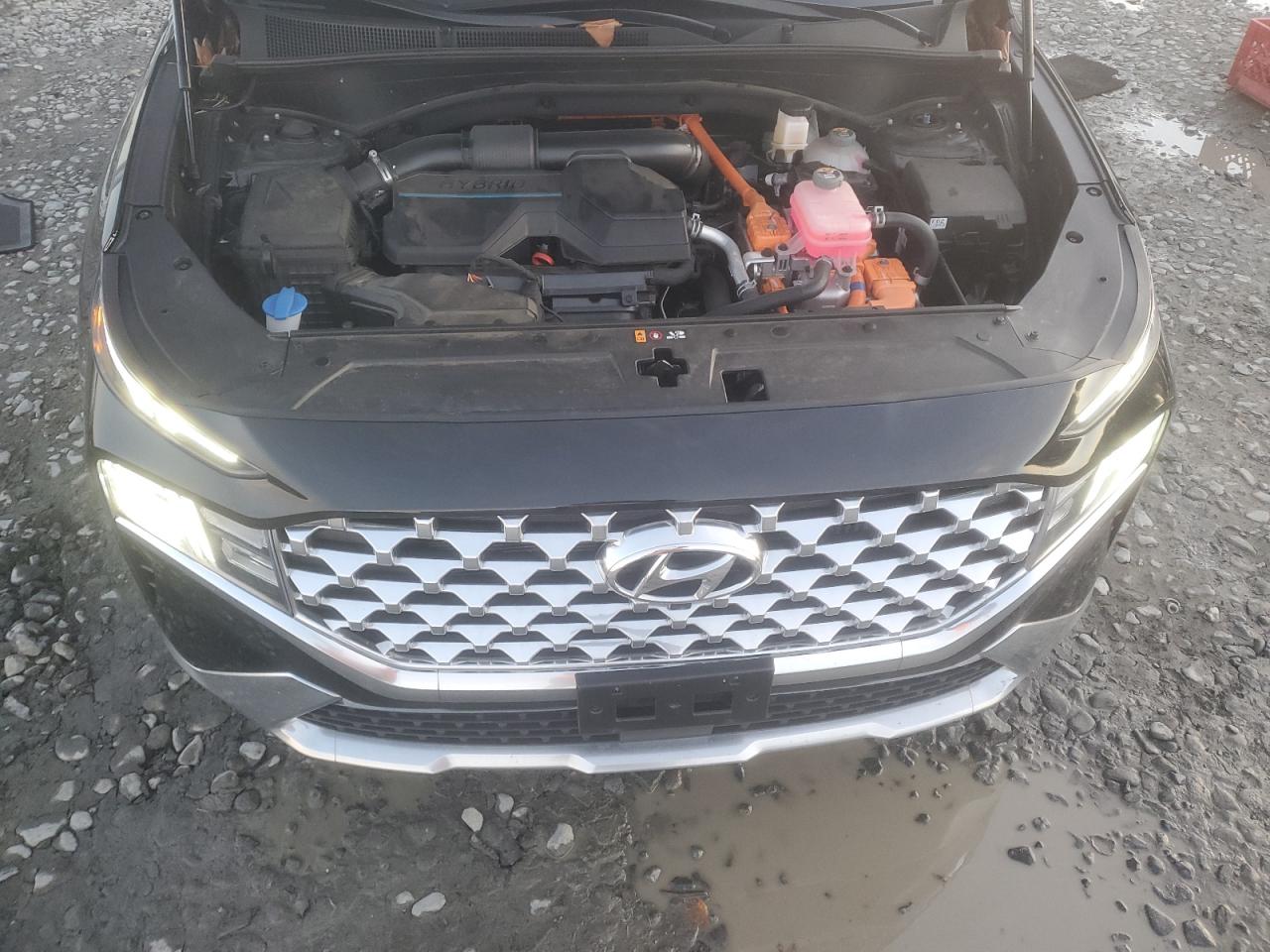 2023 HYUNDAI SANTA FE SEL PREMIUM VIN:5NMS3DA15PH024416