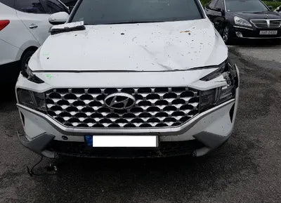 2021 Hyundai Santa FE KMHS281LGMU385620 VIN:KMHS281LGMU385620