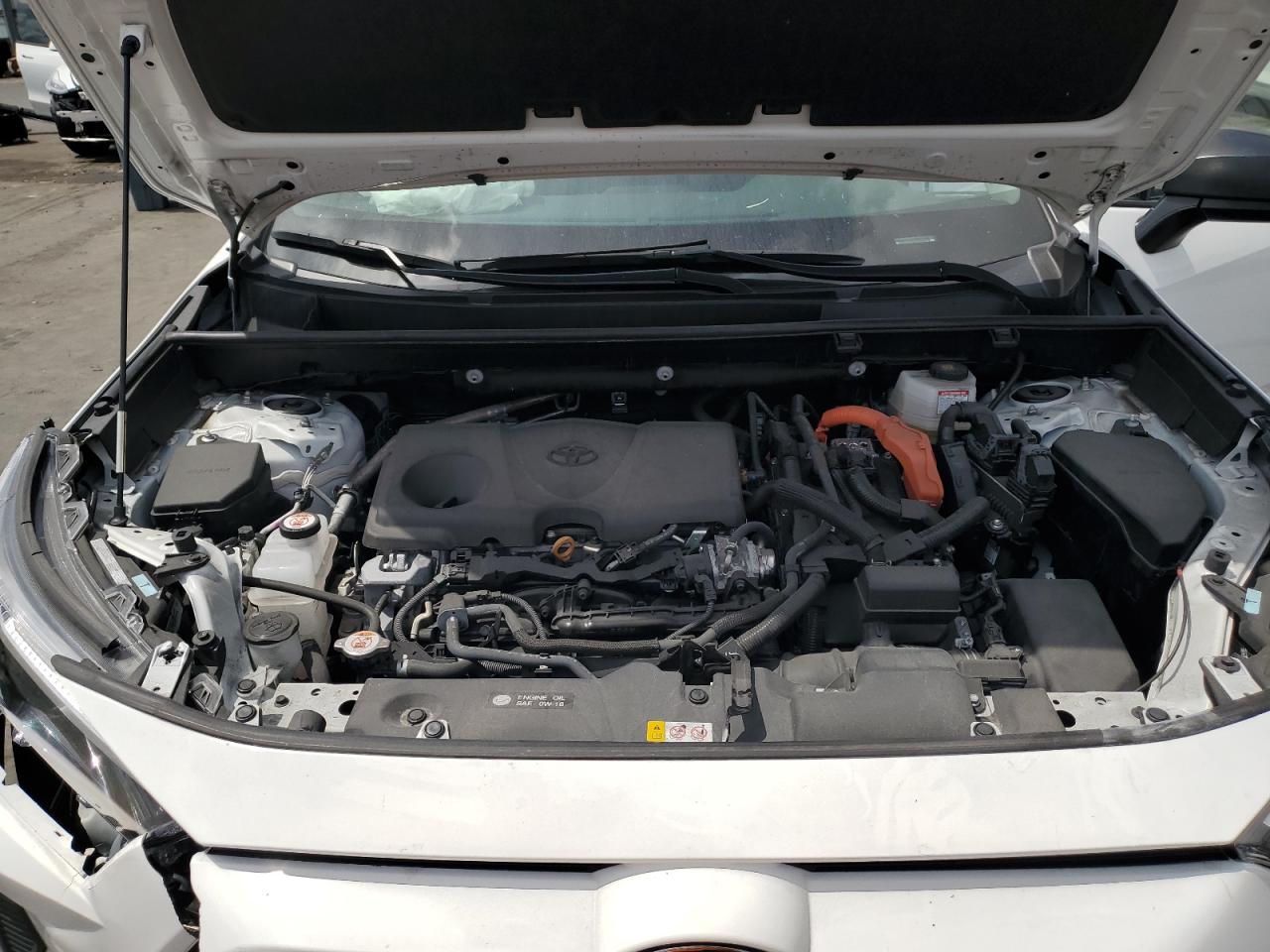 2024 TOYOTA RAV4 LE VIN:4T3LWRFV7RU128599