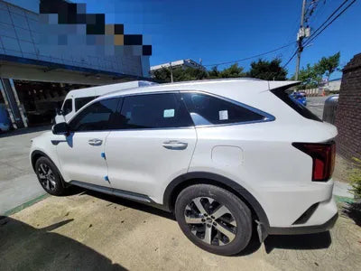 2020 Kia Sorento KNARL81BHMA045683 VIN:KNARL81BHMA045683