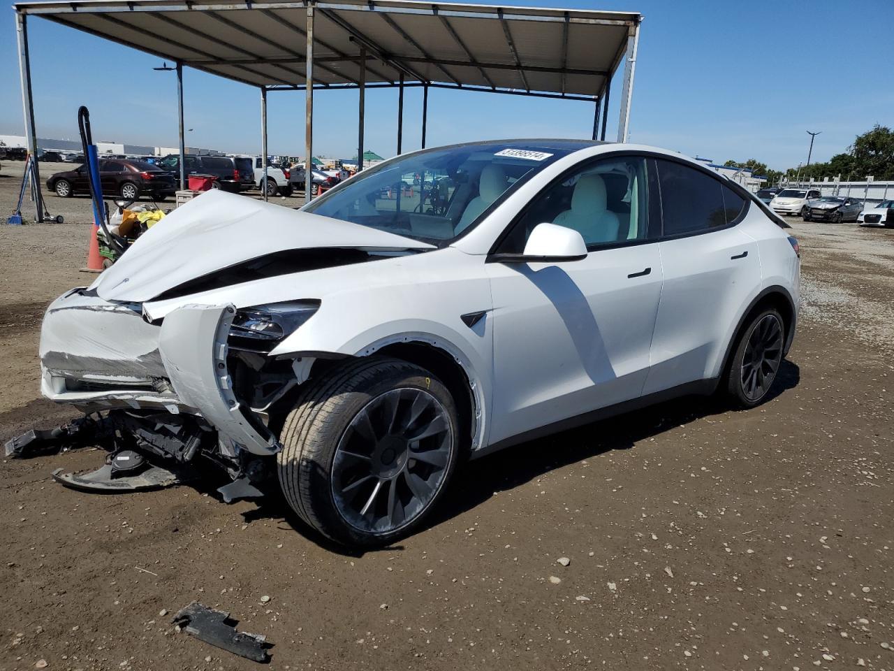 2023 TESLA MODEL Y  VIN:7SAYGDEE6PF883482