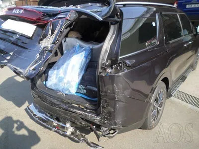 2022 Kia Carnival KNHNC37BBPS198733 VIN:KNHNC37BBPS198733