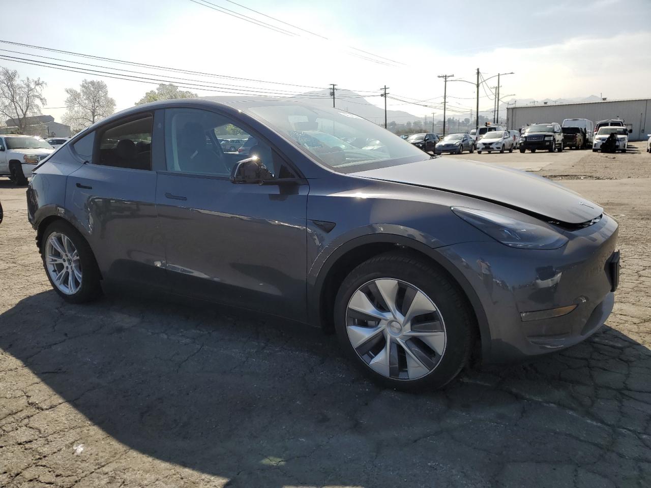 2024 TESLA MODEL Y  VIN:7SAYGDEE2RA216828