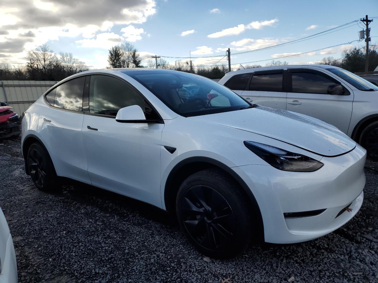 2024 TESLA MODEL Y  VIN:7SAYGDEE0RA328625