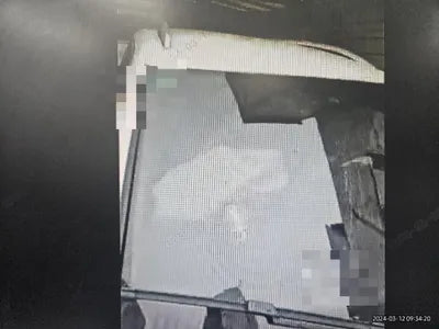 2015 Volkswagen Tiguan VIN: