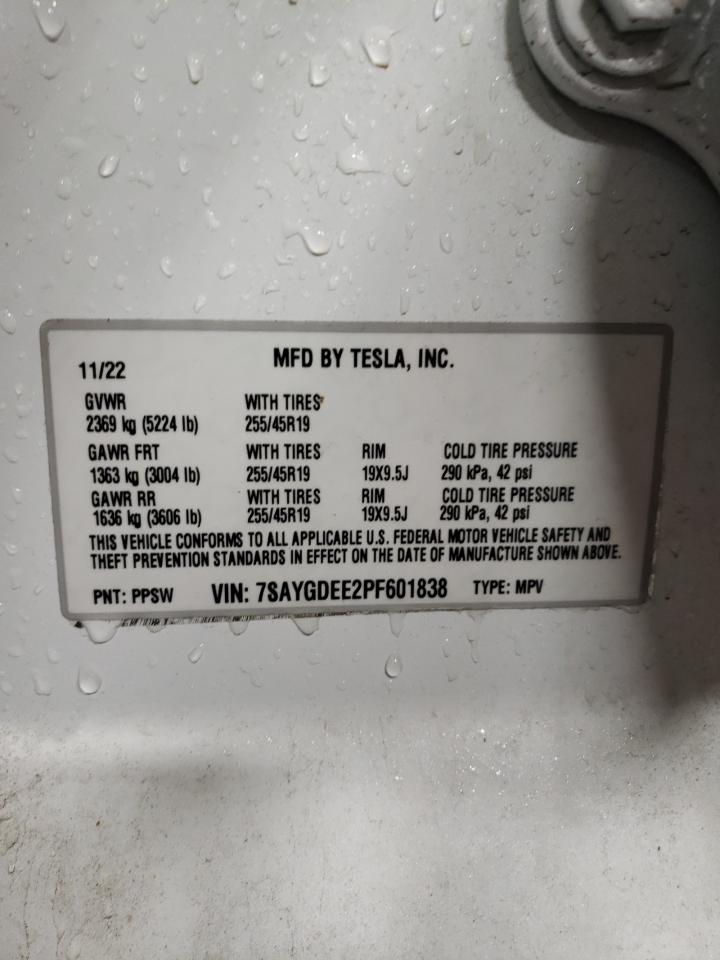 2023 TESLA MODEL Y  VIN:7SAYGDEE2PF601838