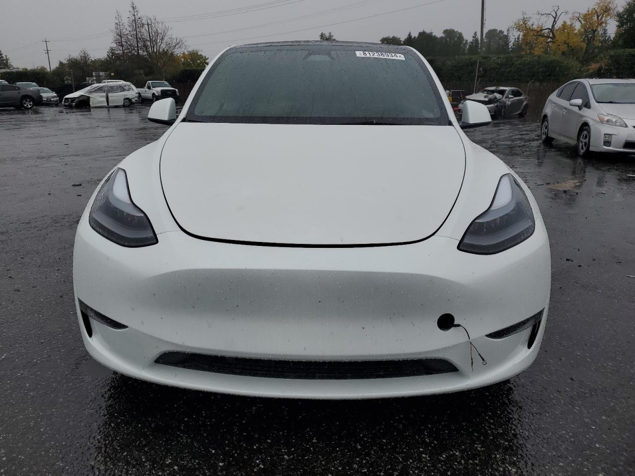 2024 TESLA MODEL Y  VIN:7SAYGDEF9RF094562