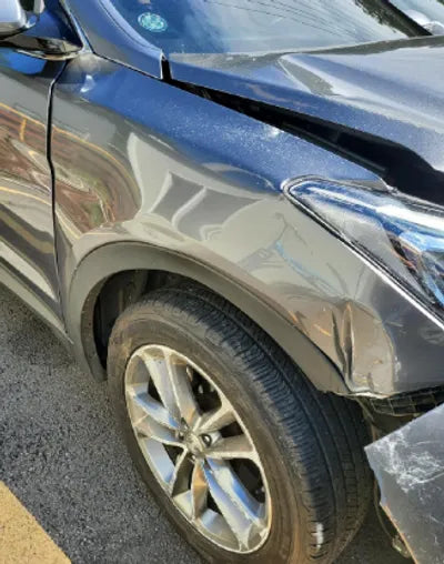 2016 Hyundai Santa FE KMHSW81UBGU539073 VIN:KMHSW81UBGU539073