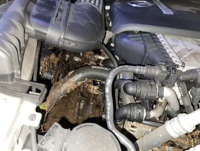 2020 Mercedes-Benz E 300 WDDZF4KB4LA705478 VIN:WDDZF4KB4LA705478