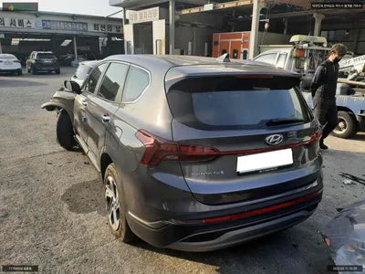 2020 Hyundai Santa FE KMHS281HGMU311064 VIN:KMHS281HGMU311064