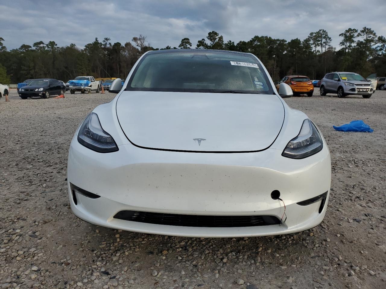 2023 TESLA MODEL Y  VIN:7SAYGDEE4PA061681