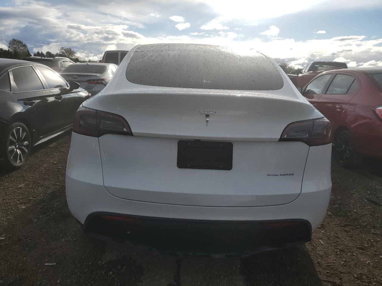 2024 TESLA MODEL Y  VIN:7SAYGDEE0RA296453