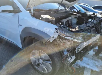 2019 Hyundai Kona KMHK381GFKU056455 VIN:KMHK381GFKU056455