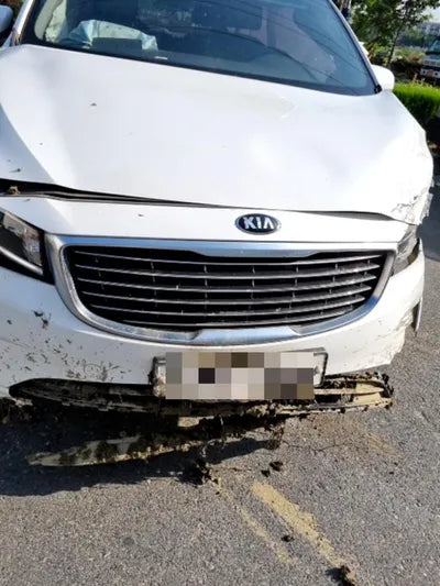 2016 Kia Carnival KNHMF37ABGS234094 VIN:KNHMF37ABGS234094