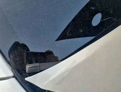 2022 Tesla Model 3 5YJ3E1EB8NF149246 VIN:5YJ3E1EB8NF149246