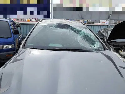 2016 Hyundai Santa FE KMHSW81UBGU674459 VIN:KMHSW81UBGU674459