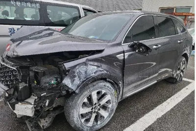 2021 Kia Sorento KNARF81BGMA060485 VIN:KNARF81BGMA060485