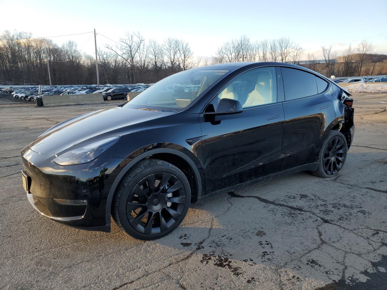 2024 TESLA MODEL Y  VIN:7SAYGDEEXRA271821