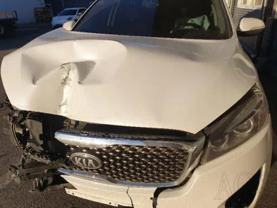 2016 Kia Sorento KNAPH81ABGA216735 VIN:KNAPH81ABGA216735