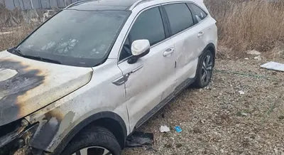 2021 Kia Sorento KNARH81GBMA021079 VIN:KNARH81GBMA021079