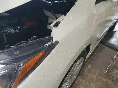 2019 Nissan Leaf 1N4AZ1CP1KC311856 VIN:1N4AZ1CP1KC311856