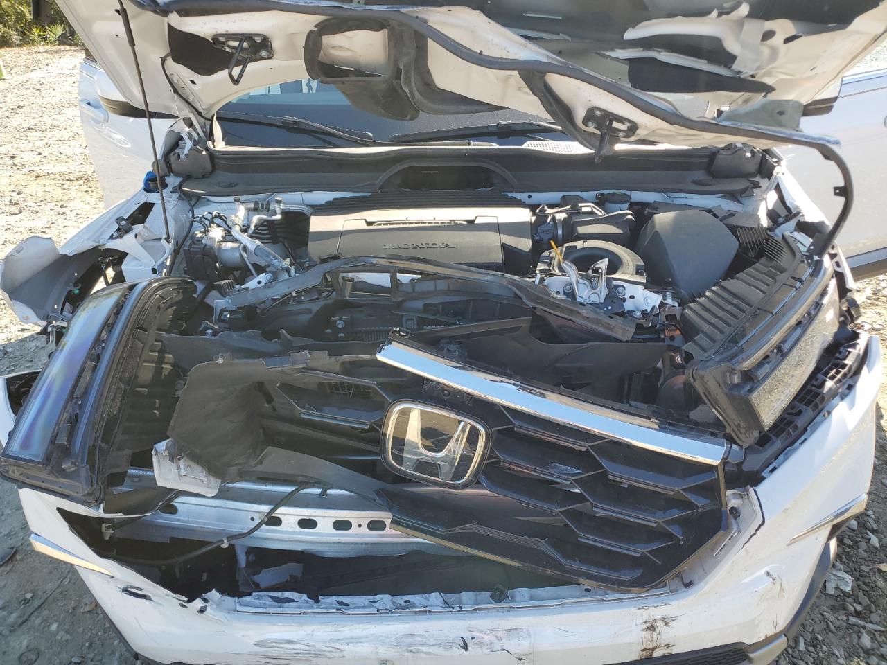 2023 HONDA PILOT ELITE VIN:5FNYG1H89PB045691