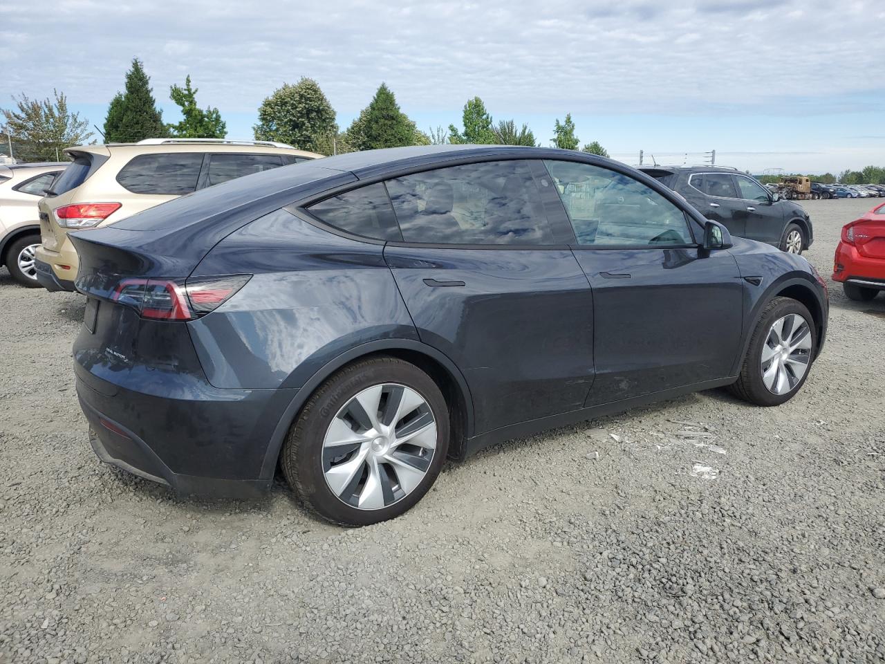 2024 TESLA MODEL Y  VIN:7SAYGDEE4RF063601