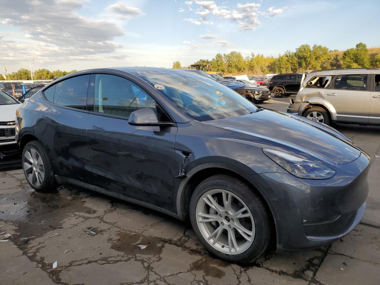 2023 TESLA MODEL Y  VIN:7SAYGDEEXPF908951