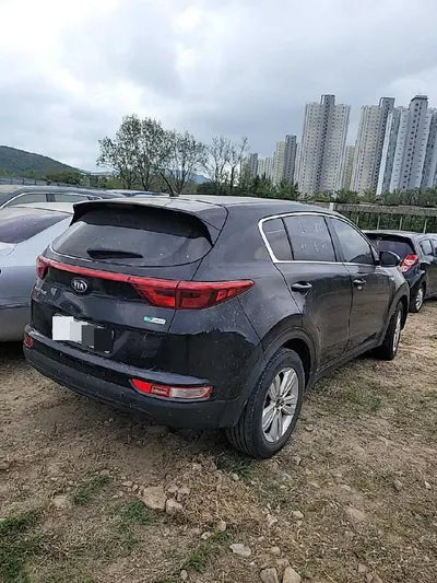 2016 Kia Sportage KNAPN815GGK086538 VIN:KNAPN815GGK086538