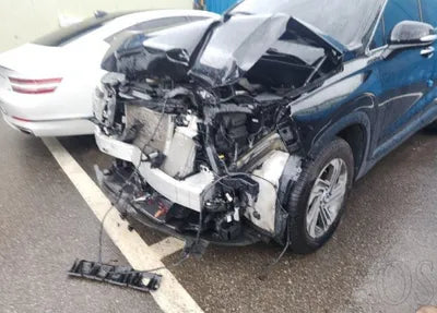 2021 Hyundai Santa FE KMHS381HGMU346731 VIN:KMHS381HGMU346731