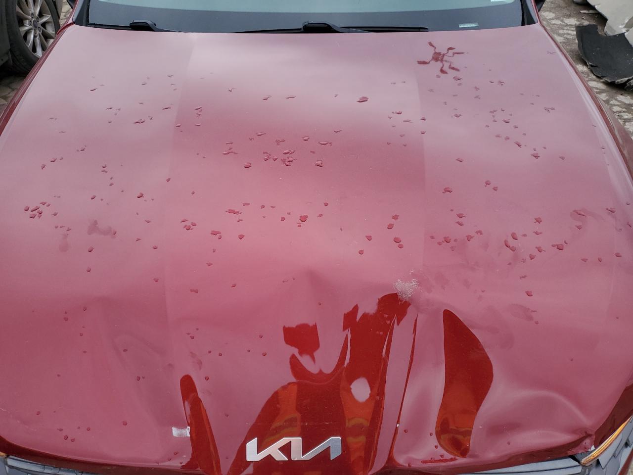 2022 KIA K5 LXS VIN:5XXG14J23NG158566