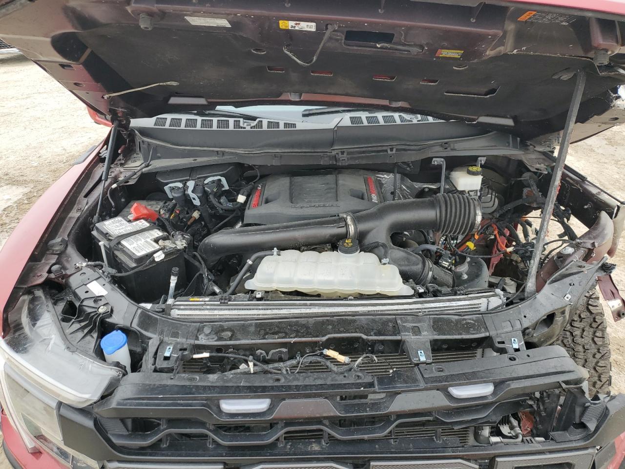 2024 FORD F150 RAPTOR VIN:1FTFW1RG6RFB13248