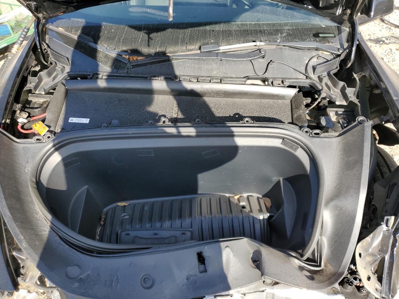 2023 TESLA MODEL Y  VIN:7SAYGAEE8PF705801