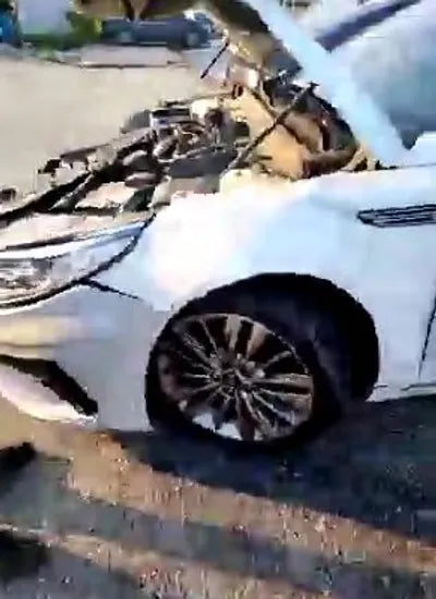 2020 Kia K5 KNAGT411BLA373219 VIN:KNAGT411BLA373219