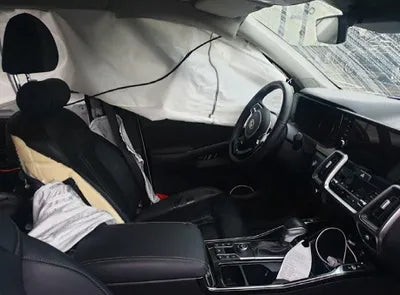 2021 Kia Sorento KNARH81FGMA090596 VIN:KNARH81FGMA090596