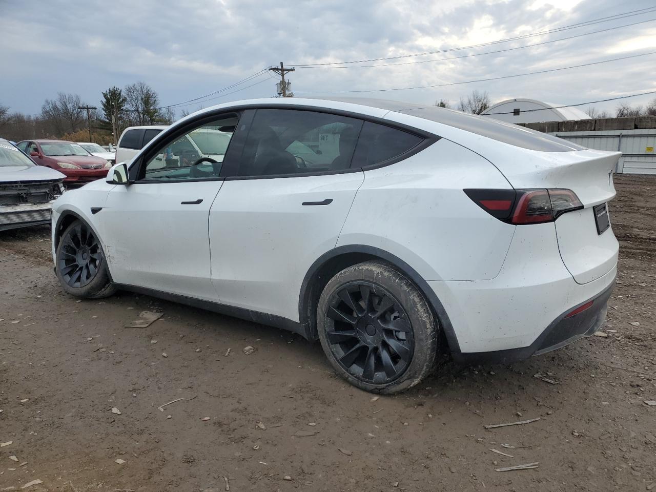 2024 TESLA MODEL Y  VIN:7SAYGDEE7RA234919