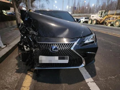 2019 Lexus ES 300 JTHB21B10K2064446 VIN:JTHB21B10K2064446