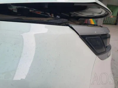 2020 Kia Carnival KNANB81BBMS024261 VIN:KNANB81BBMS024261