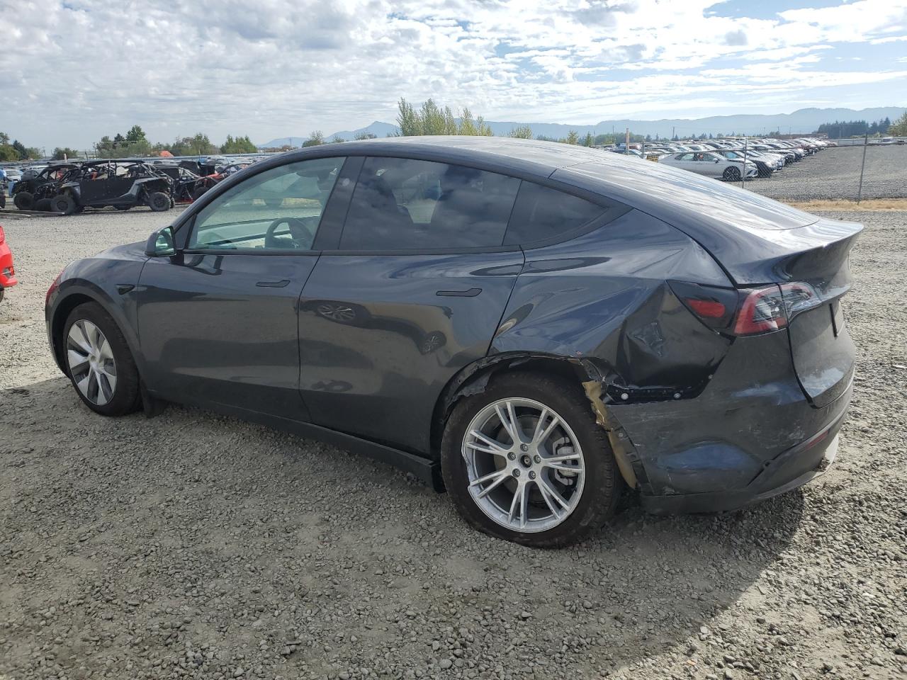 2024 TESLA MODEL Y  VIN:7SAYGDEE4RF063601